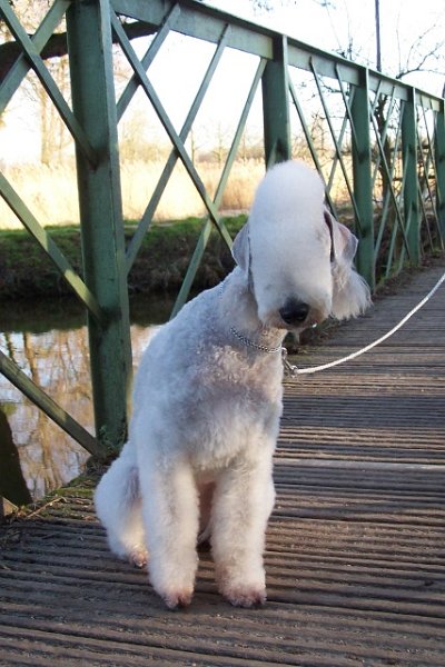 Airis Blue Volshebny Svet 09.02 (41).JPG